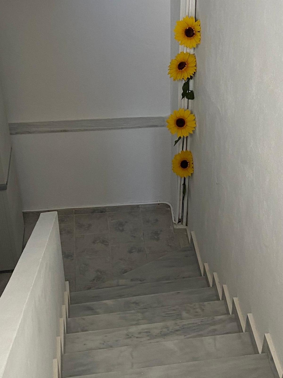 Two Palm Trees Apartment Adamantas  Ngoại thất bức ảnh